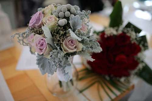 hojas verdes pastel ramo rosas