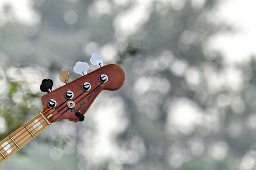 november guitar nature acoustic sound blur classic instrument outdoors palma  fairs mallorca autumn november