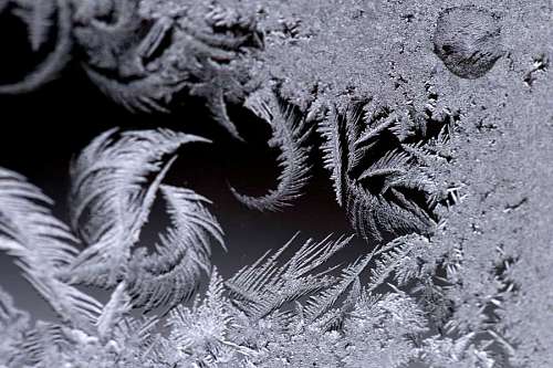 hielo escarchado copo de nieve escarcha cristal nieve congelada frío invierno monocromo