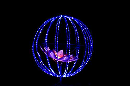 spectacular illuminated flower wires spectacular shape round night