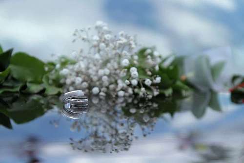 platinum jewelry  metallic  platinum  reflection 