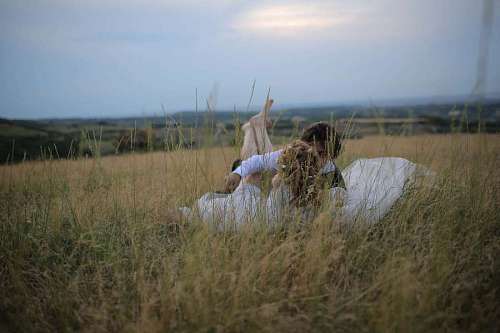 lover lover grass kiss stork wading romance bird field landscape