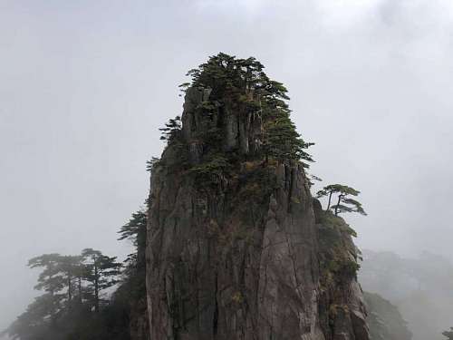 vertical mountain cliff fog vertical mist landscape wood peak land nature tree 
