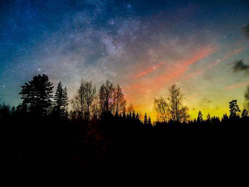 midnight nightshade midnight silhouette forest night atmosphere landscape lighting sun 
