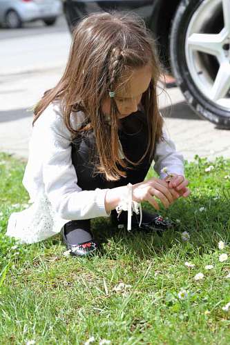 daisy playful daisies hairstyle grass pretty outdoors child nature 