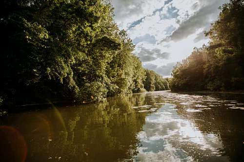 selva sol bosque lluvioso agua río wasser bosque struktur fluss regenwald sonnenschein landschaft reflexión wald junto al lago reflexión paisaje árbol
