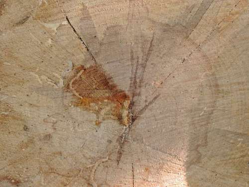 texture rough dirty stain surface material firewood decay pattern