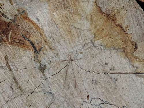 texture rough wood surface firewood dirty abstract pattern