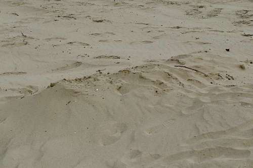 wasteland texture sand soil dune pattern sandbar beach wasteland seashore desert