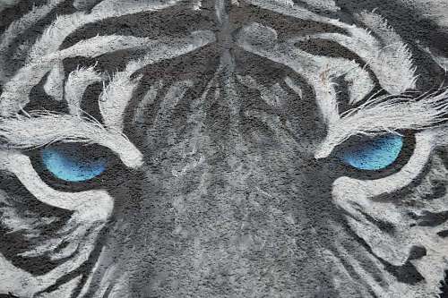 tiger graffiti abstract head face texture artistic