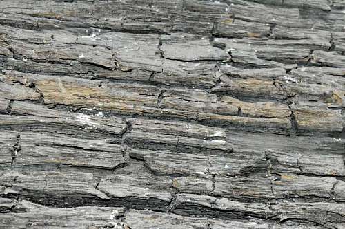 barrier wood rough texture barrier wall dirty wooden pattern hardwood