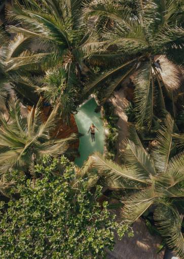 nature Man Swimming in a Cenote in Tulum Surrounded by Palm Trees and Nature
