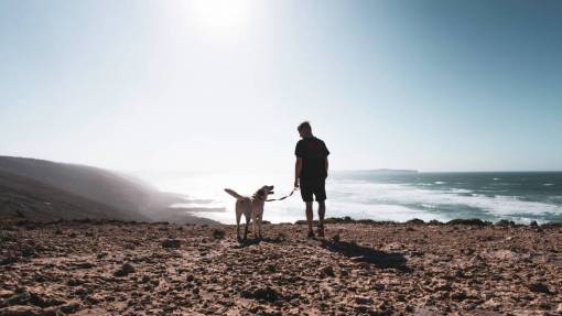 Man with his dog at beach