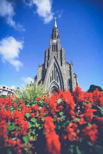 cat Catedral de Nuestra Se?ora de Lourdes in Brazil ? Majestic Gothic Revival Cathedral
