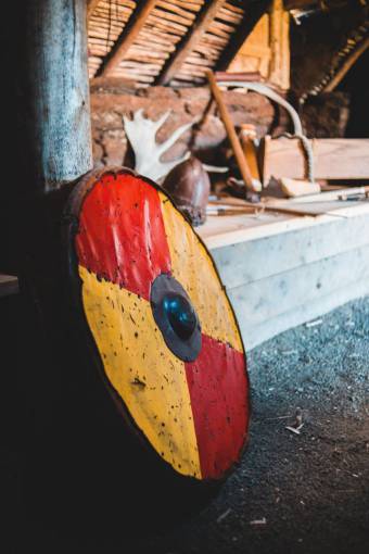 historical-architecture viking shield