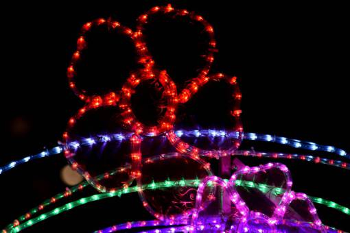 electrico celebracion