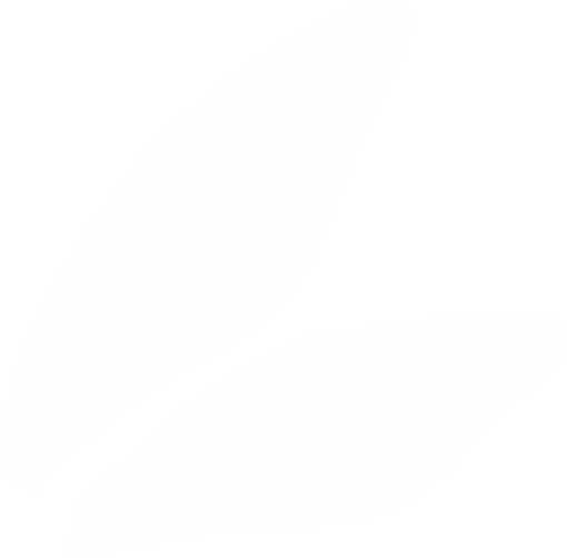 selling  Fairy Wing Clipart Overlay PNG