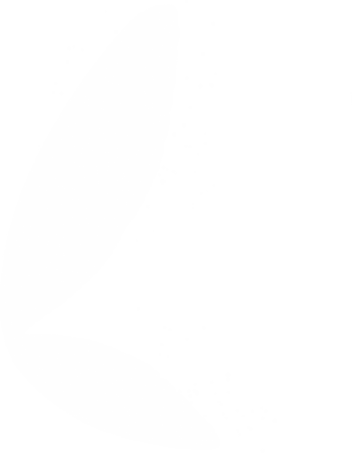magic-animal  Fairy Wing Clipart Overlay PNG