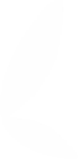 magic-animal  Fairy Wing Clipart Overlay PNG