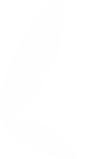 icon-set  Fairy Wing Clipart Overlay PNG
