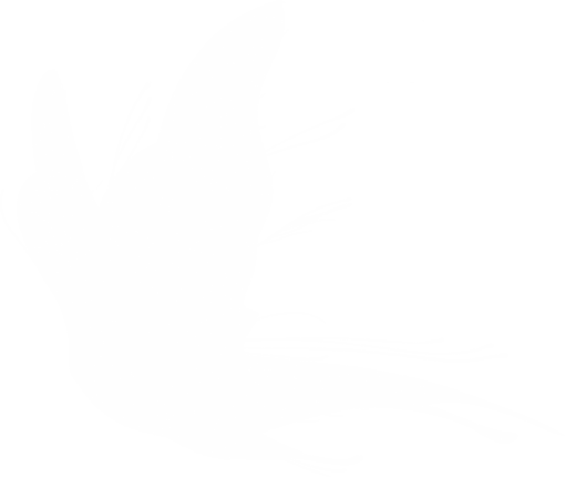 icon-set  Fairy Wing Clipart Overlay PNG