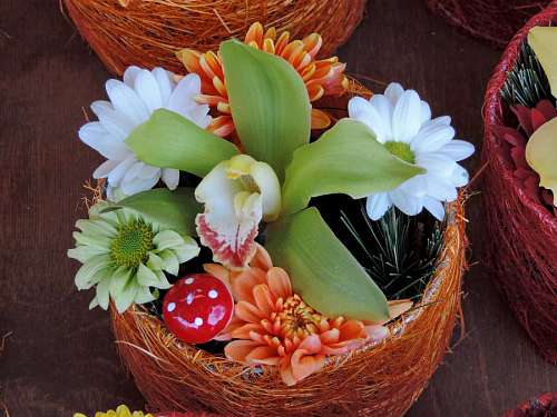 arrangement flower orchid decoration bouquet leaf bright basket nature flowerpot  flowers