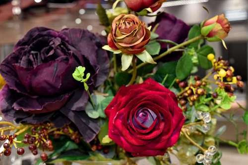 boutique boutique  decoration  purplish  rose  roses 