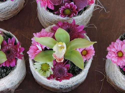50s decorative orhideja arrangement handmade ghiveci flori orchidee decoratie natuur flower roze flowerpot basket priroda bloem regeling orchid decoration nature rad