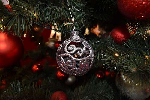 shiny elegant tree ornament decoration luxury reflection shining celebration winter