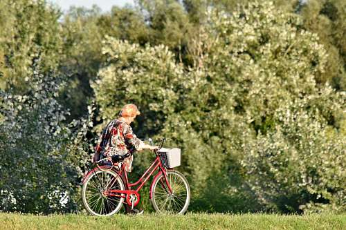 grandmother enjoyment nature walking grandmother bicycle forest lifestyle relaxation recreation wheel
