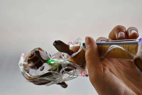violin hand fingertip bulb finger violin musician band human