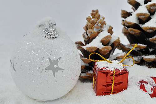 shiny snow christmas frost cold winter snowflake shining celebration decoration tree