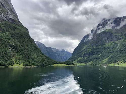 lakeside surface water mountains lake flying lakeside birds park mountain shore national
