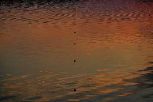 waves calm sunset colorful lake dawn water reflection evening ocean