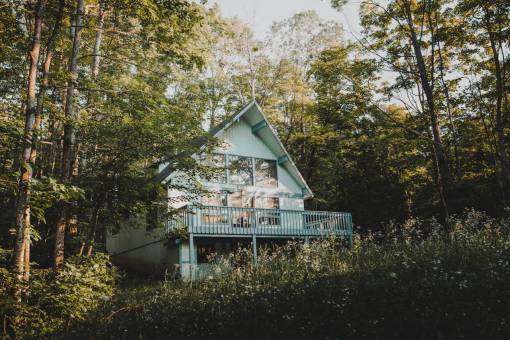 Cabin in the woods