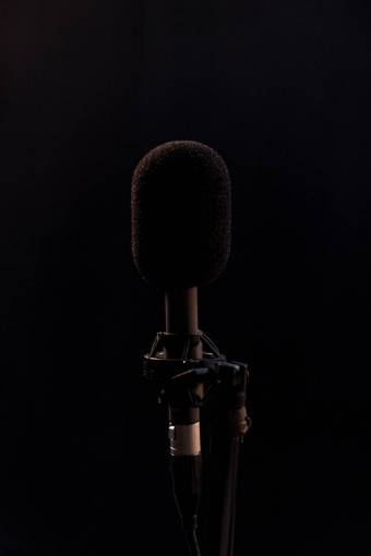musica Micrófono