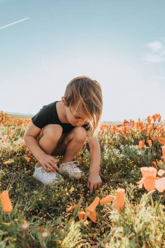 spring Little boy gathering wildflowers in a field