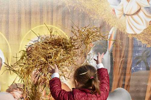 hay-field playful child straw childhood hay outdoors young