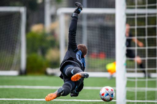 action Goalkeeper