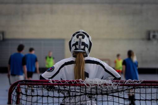 action Hockey Goalkeeper
