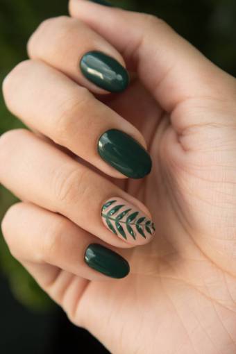 humano mujer;verde;uñas primer plano mujer moda manicura uña mano humana