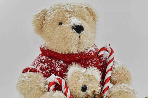 teddy-bear bear teddy toy gift scarf snow traditional winter