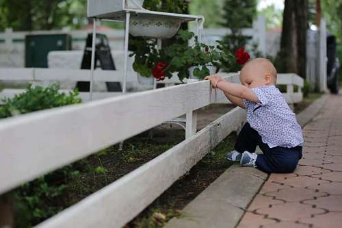 garden nature fence toddler child outdoors summer picket portrait park step