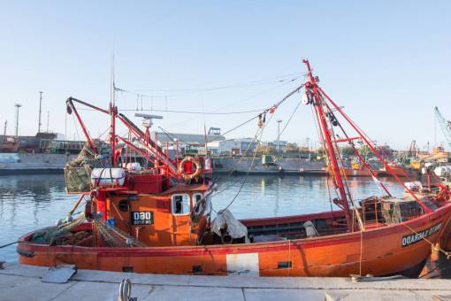 blanco Barcos de pesca en el puerto de Mar del Plata