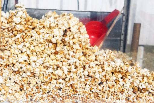 comidas Palomitas de maíz en un establo listo para la venta