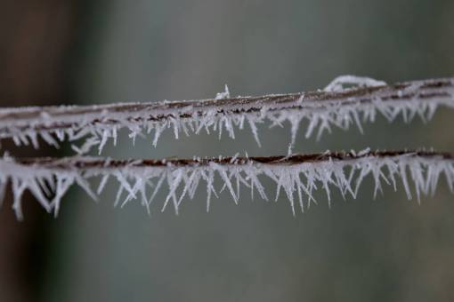 horizontal hielo horizontal cristal frío cerrar naturaleza macro helada cuerda
