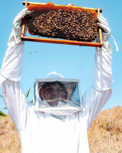 man Beekeeper holding hive