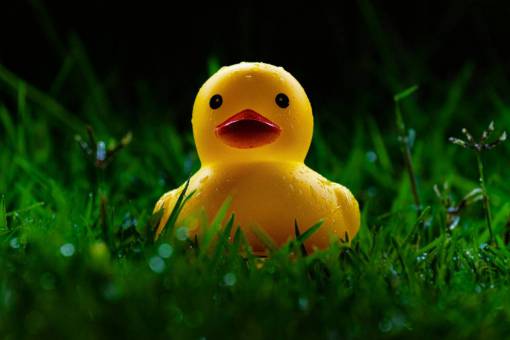 green rubber duck
