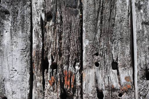 bosques fondos madera material antiguo primer plano naturaleza madera vieja; fondo