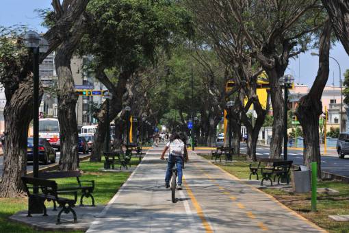 peru Bicicleta hombres ciclovía;Lima;Perú ciudad vida árbol ciclismo al aire libre